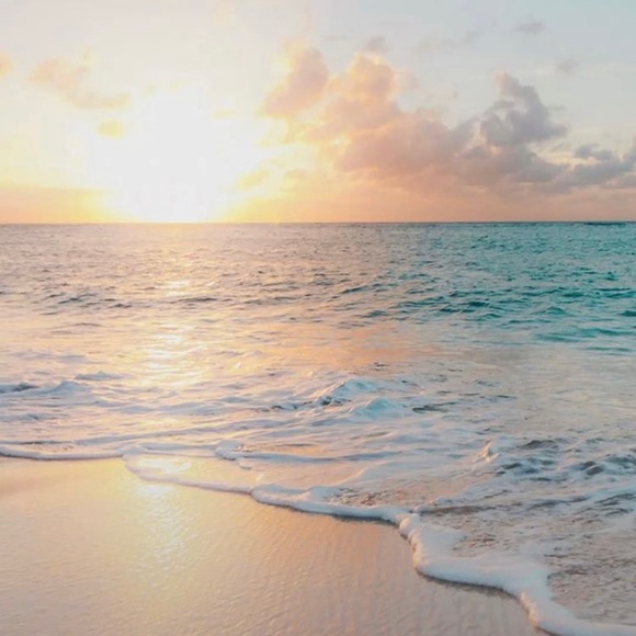 Happy Poshing! - Picture 13 of 16